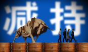 上交所监管强光照彻控股股东：切勿把A股当成“藏污桶”“提款机”