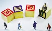 万惠金科股东候梨智退出，或涉嫌信批违规