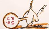内斗愈演愈烈监管忍无可忍，康达尔的账目交给谁才放心 